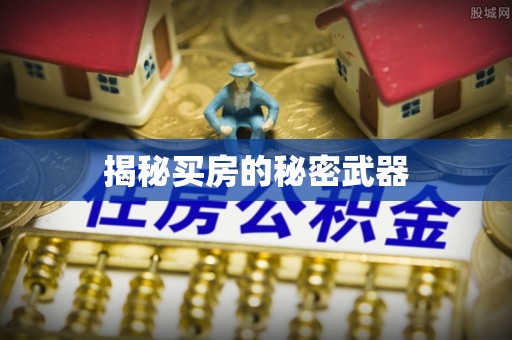 三峡揭秘买房的秘密武器
