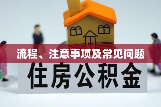 三峡流程、注意事项及常见问题
