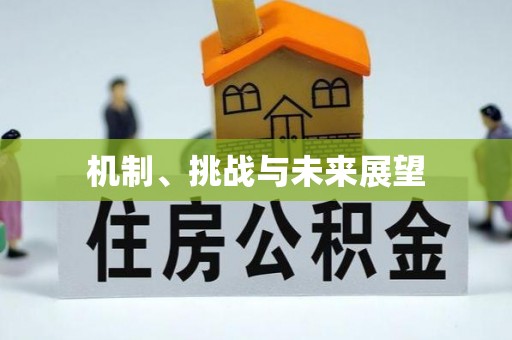 三峡机制、挑战与未来展望